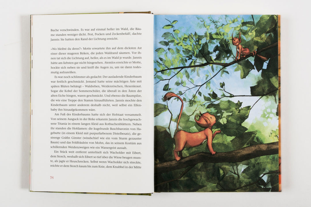 Buch 'Wecke niemals einen Schrat'
