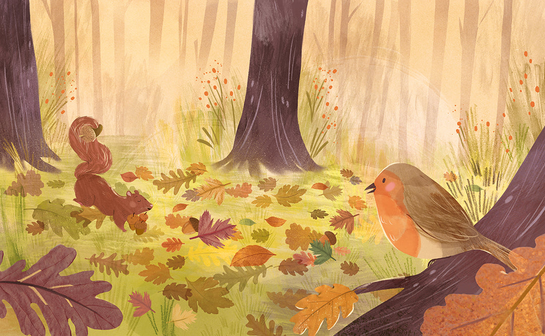 Buch 'Herbst mit Pettirosso'
