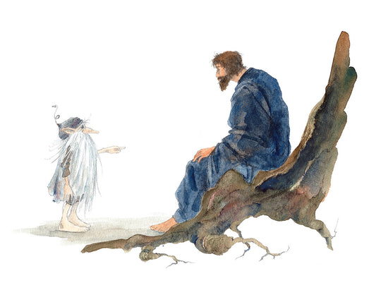 Buch 'Das Nebelmännle vom Bodensee'