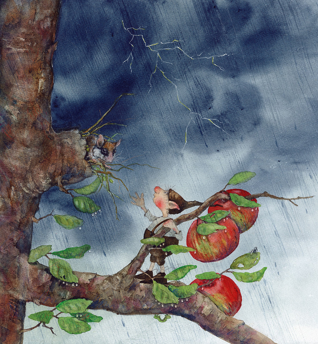 Buch 'Bertie Pom und das große Donnerwetter'