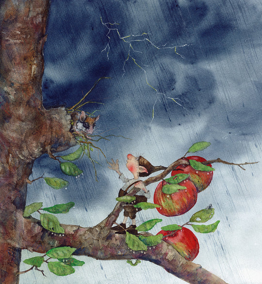 Buch 'Bertie Pom und das große Donnerwetter'