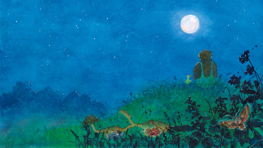 Buch 'Morchel der kleine Troll'