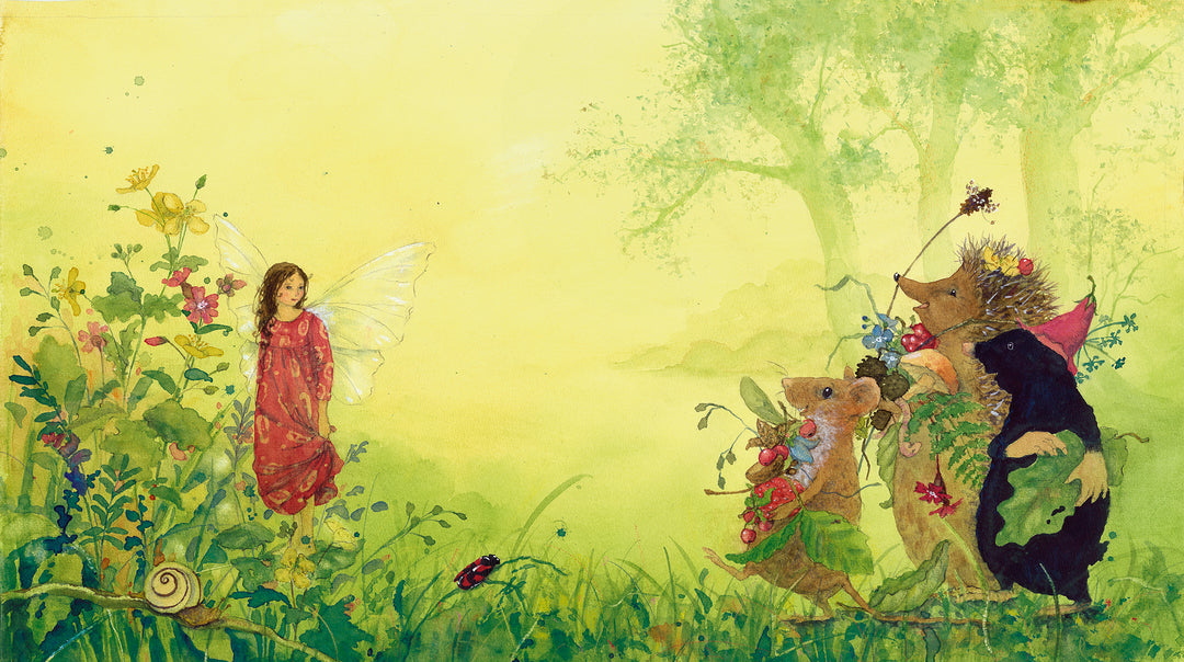 Buch 'Die kleine Elfe braucht ein neues Kleid'