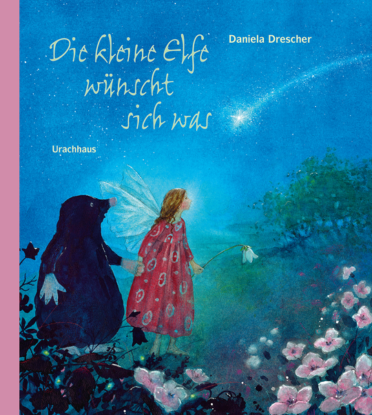 Buch 'Die kleine Elfe wünscht sich was'