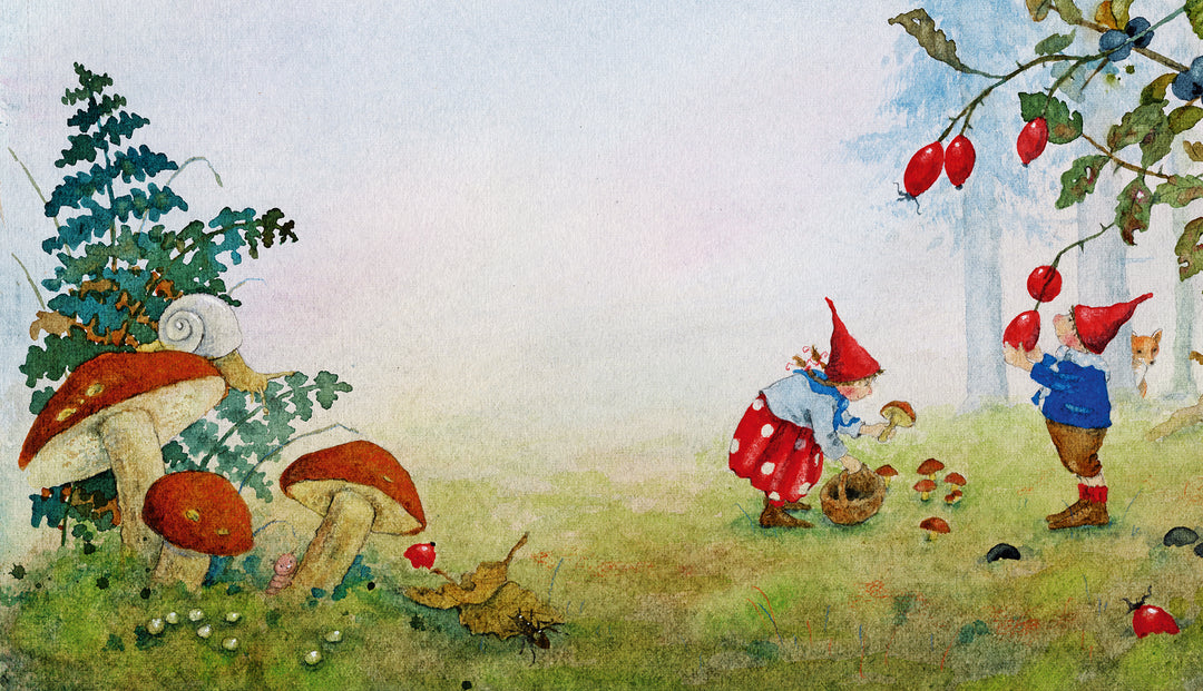 Buch 'Pippa und Pelle im Brausewind'