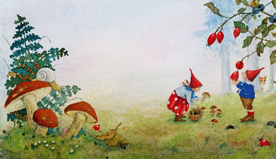 Buch 'Pippa und Pelle im Brausewind'
