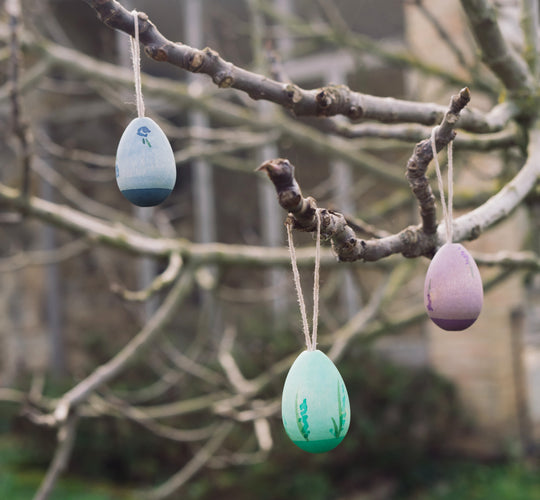 Grapat 'Aurora Eggs'