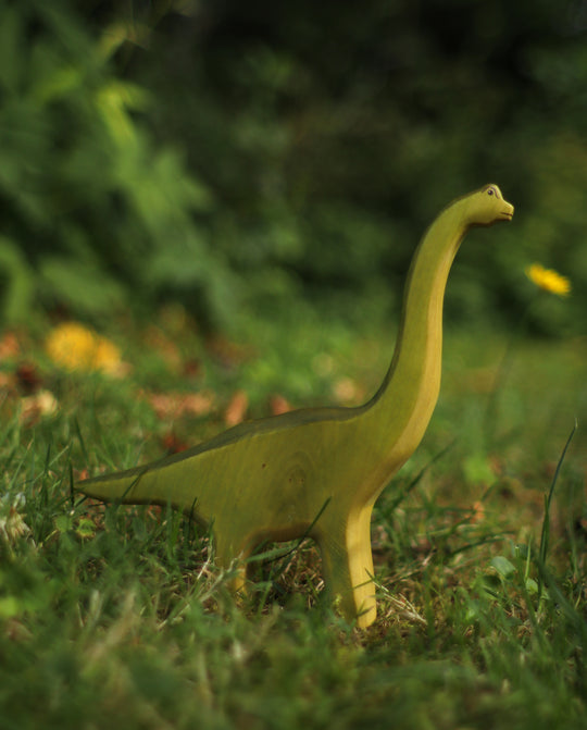 Holzwald Brachiosaurus