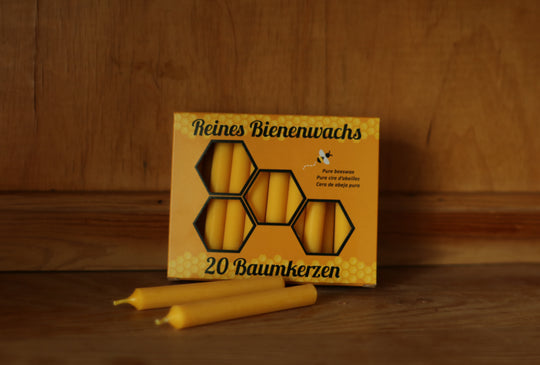 Baumkerzen aus reinem Bienenwachs | 20 Stück