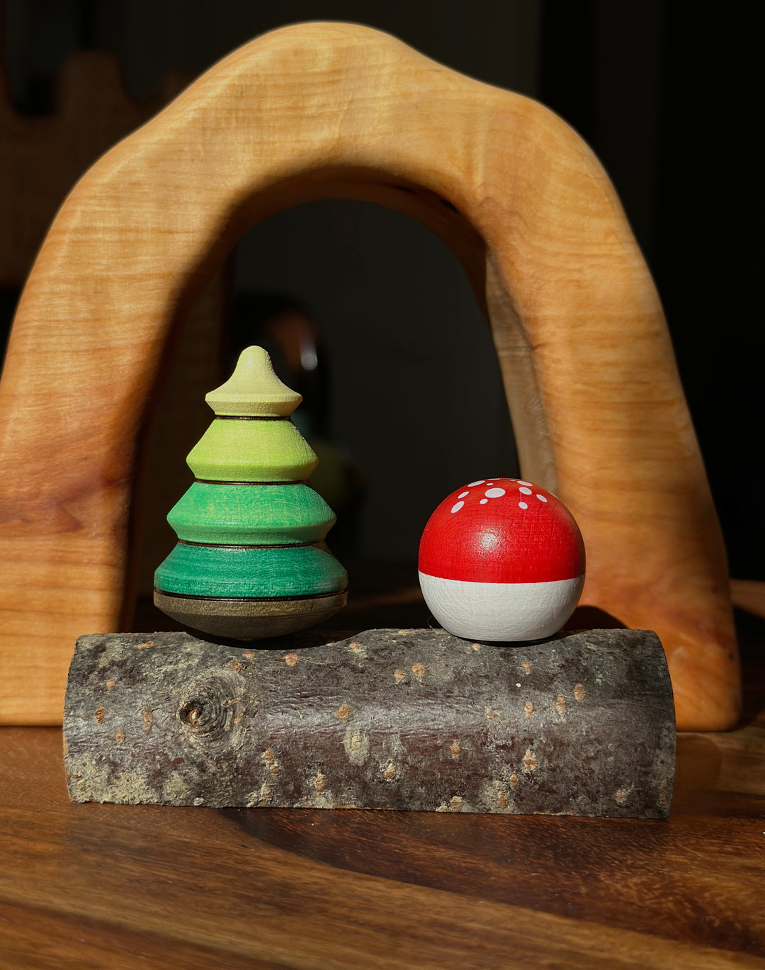 Mader Baumkreisel und Fliegenpilz mit Stamm