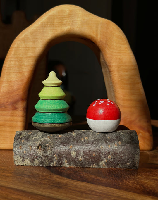 Mader Baumkreisel und Fliegenpilz mit Stamm