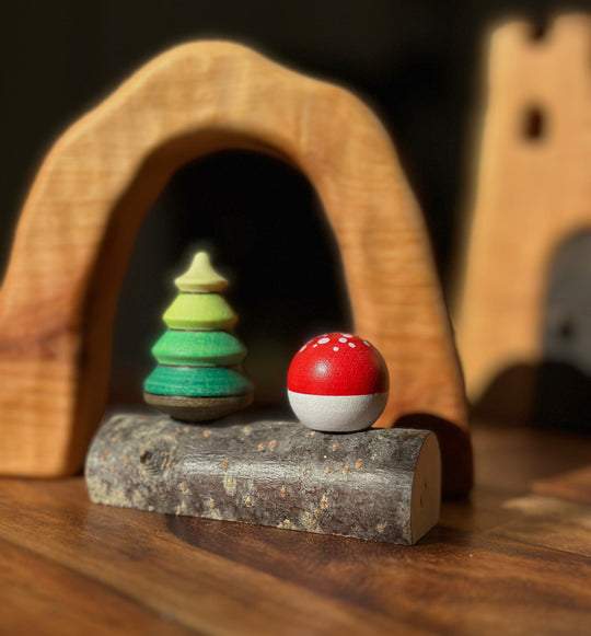 Mader Baumkreisel und Fliegenpilz mit Stamm