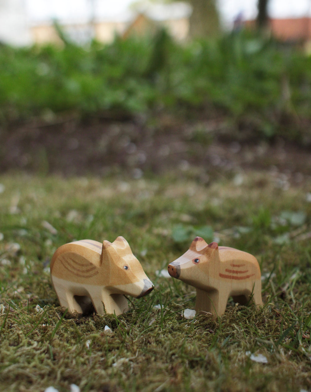Holzwald Wildschwein Frischling