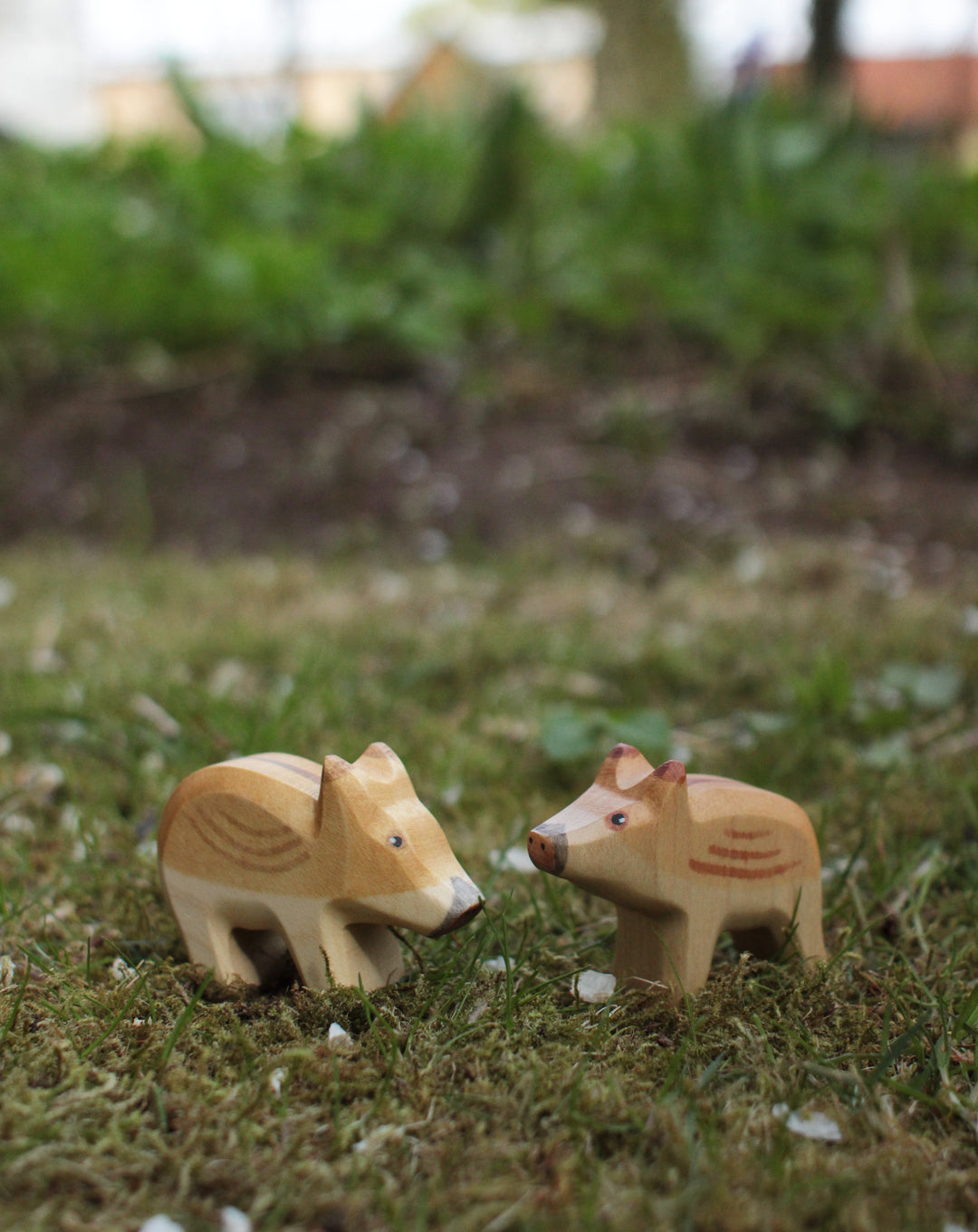 Holzwald Wildschwein Frischling
