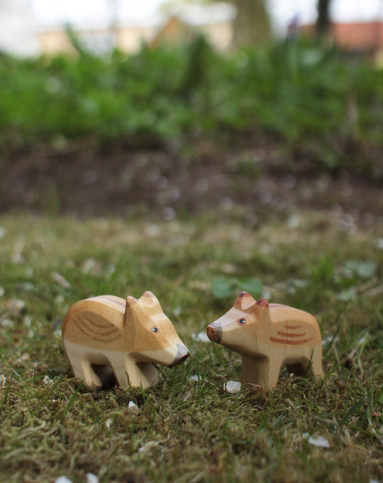 Holzwald Wildschwein Frischling