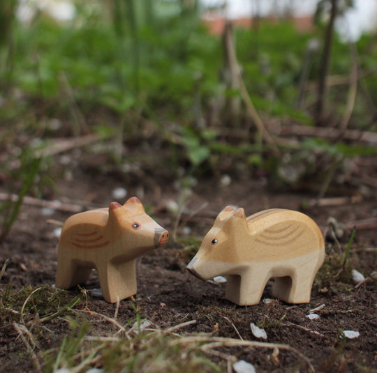 Holzwald Wildschwein Frischling