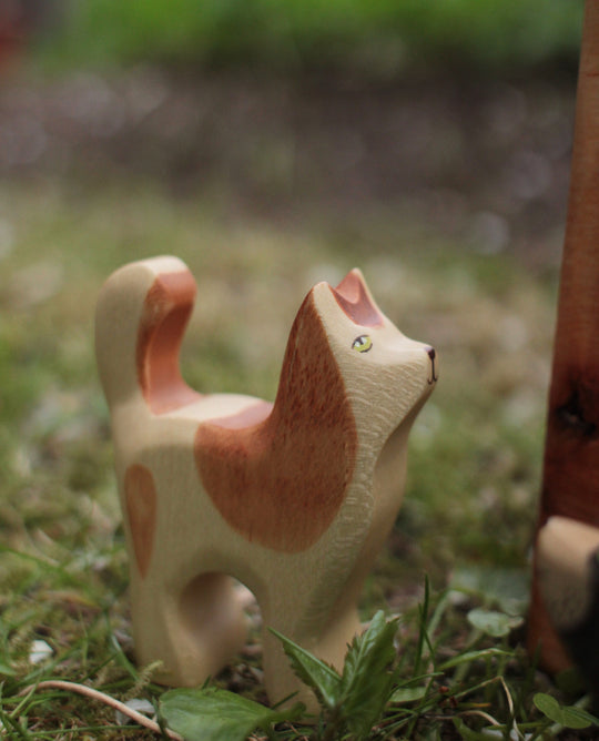 Holzwald Katze