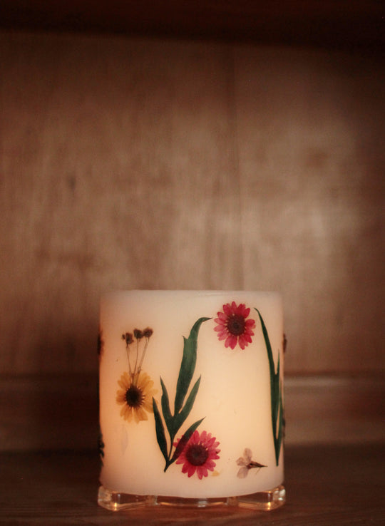 Hurricane-Kerze Strohblumen