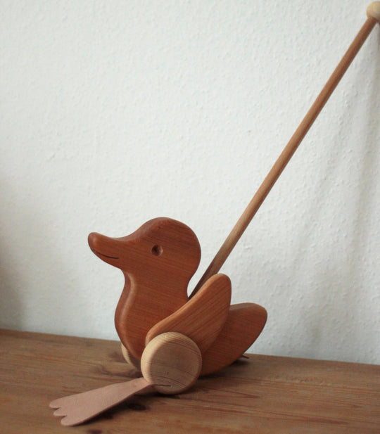 Schiebetier Ente