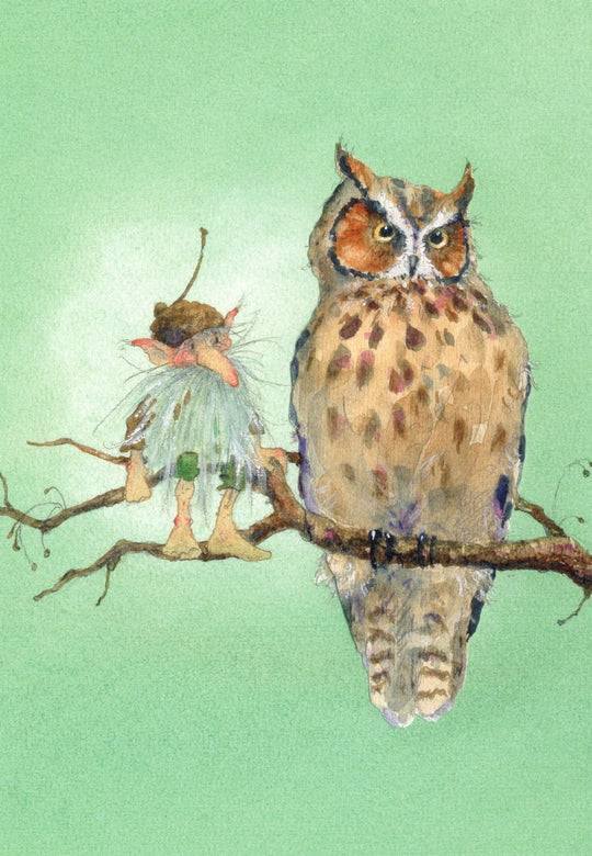 Postkartenbuch 'Im Zauberwald'