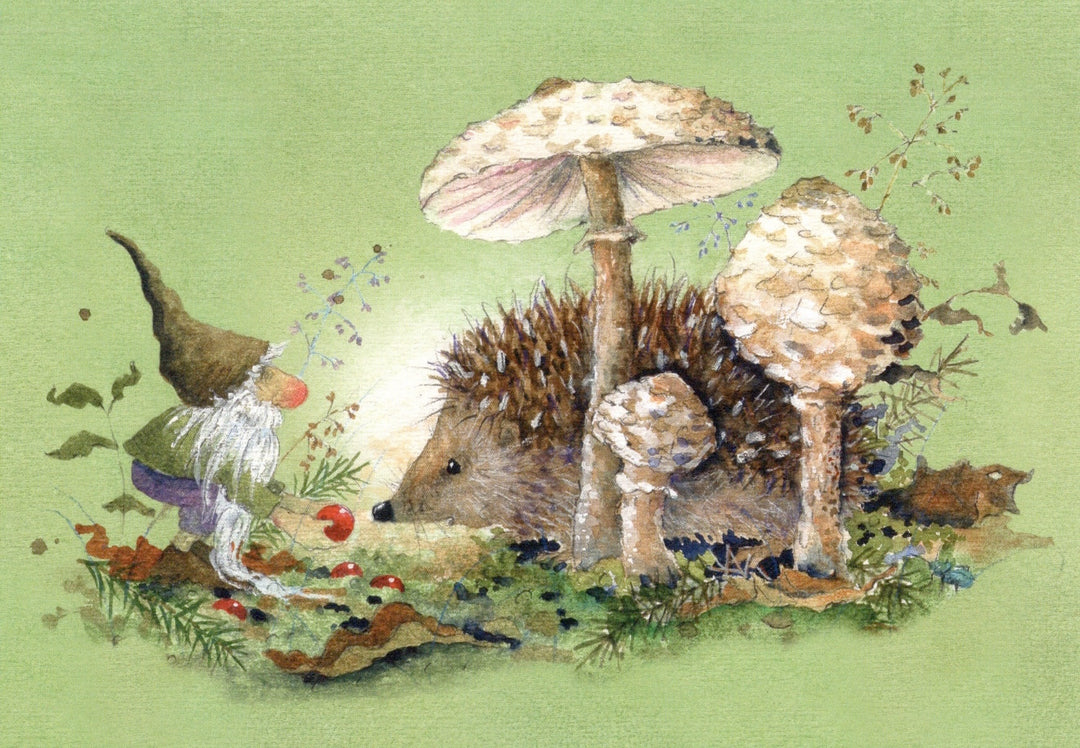 Postkartenbuch 'Im Zauberwald'