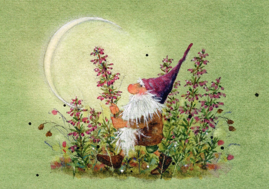 Postkartenbuch 'Kleine Zauberwelt'