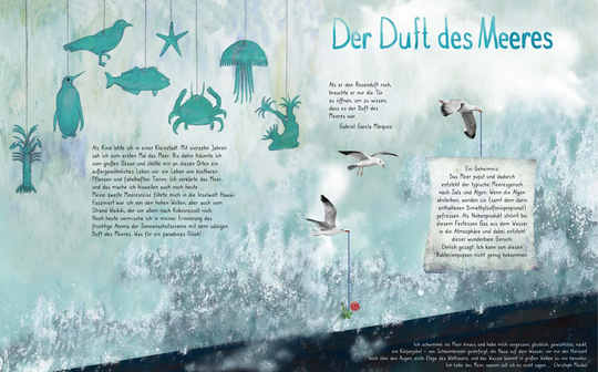 Buch 'Ansichten der Natur'