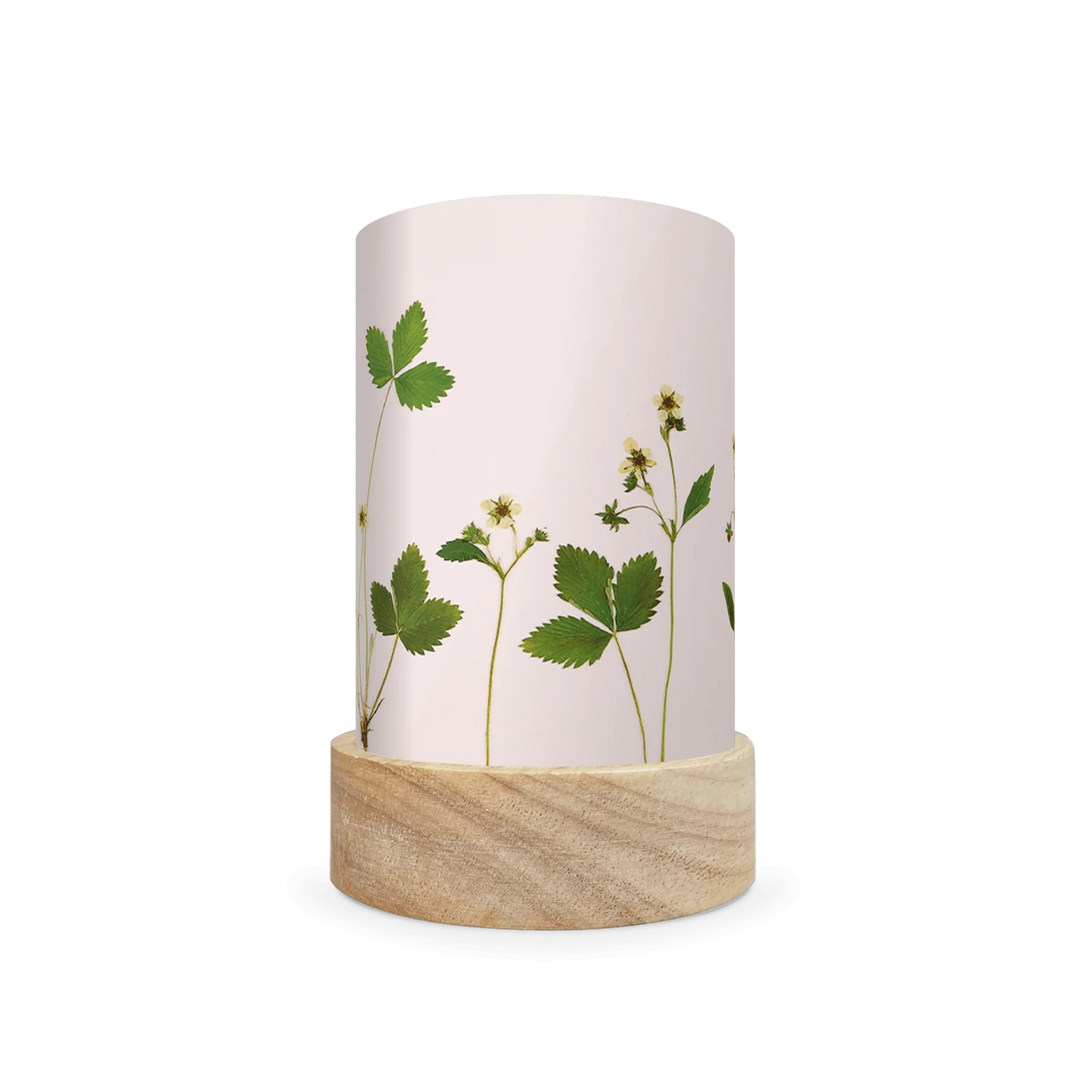 Laternen Shades-Set 'Wilder & Wren - Pressed Garden Blooms' 5 Stk.