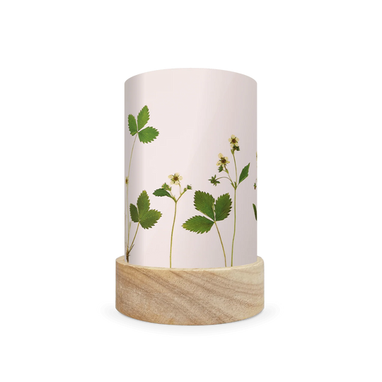Laternen Shades-Set 'Wilder & Wren - Pressed Garden Blooms' 5 Stk.