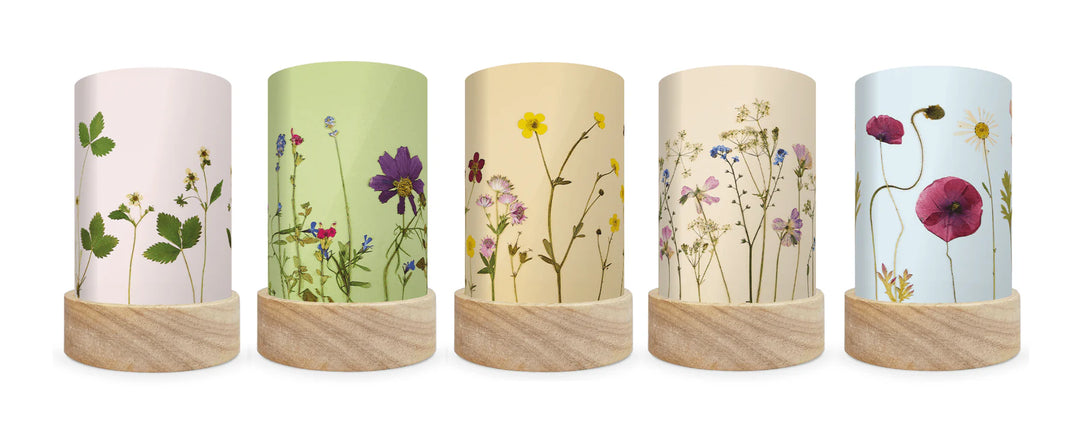 Laternen Shades-Set 'Wilder & Wren - Pressed Garden Blooms' 5 Stk.