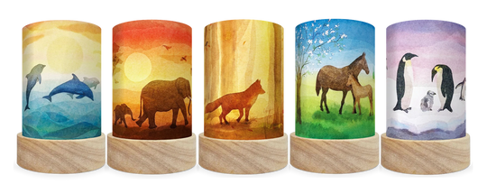 Lantern Shades Set 'Seasons' 5 pcs. - Baukje Exler