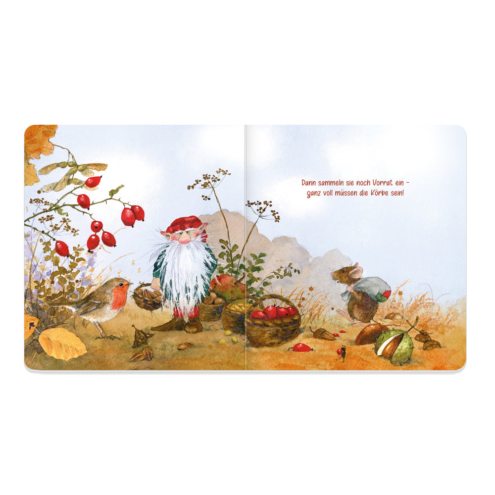 Buch 'Ole im Raschelherbst'