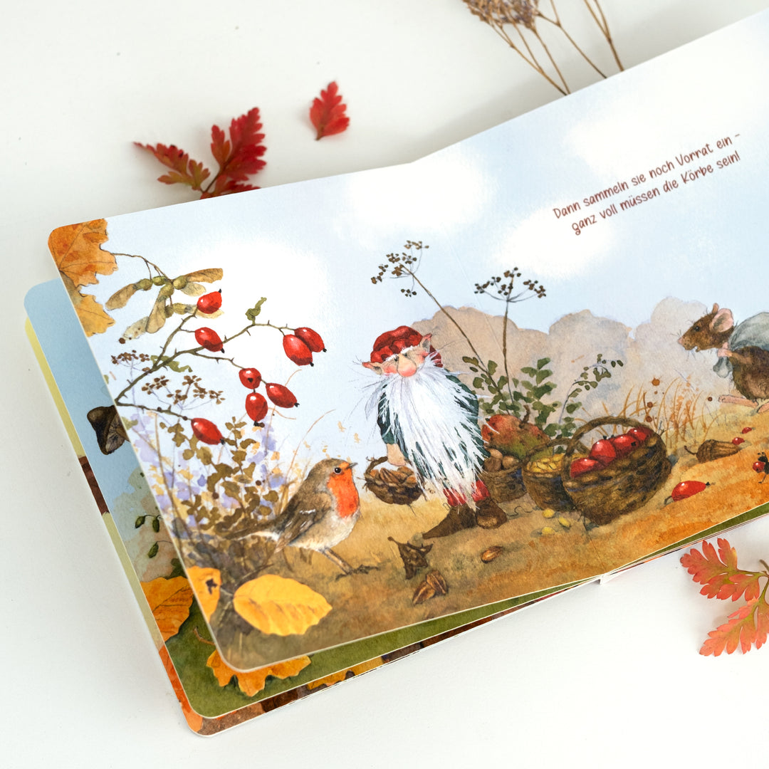 Buch 'Ole im Raschelherbst'