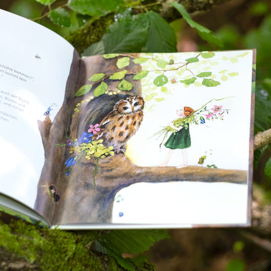 Buch 'Harriet und das Grummelkäuzchen'