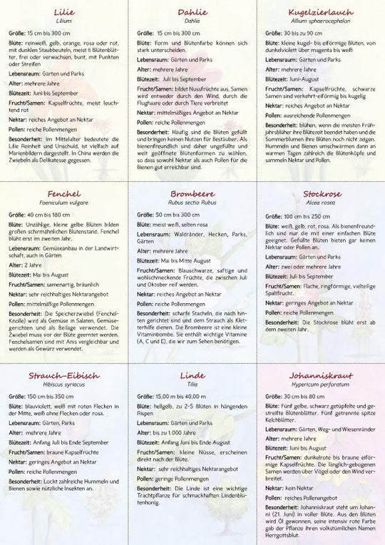 18 Bienen-Sommerblüten-Karten