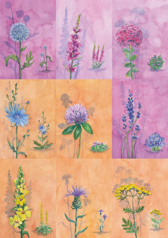 18 Bienen-Sommerblüten-Karten
