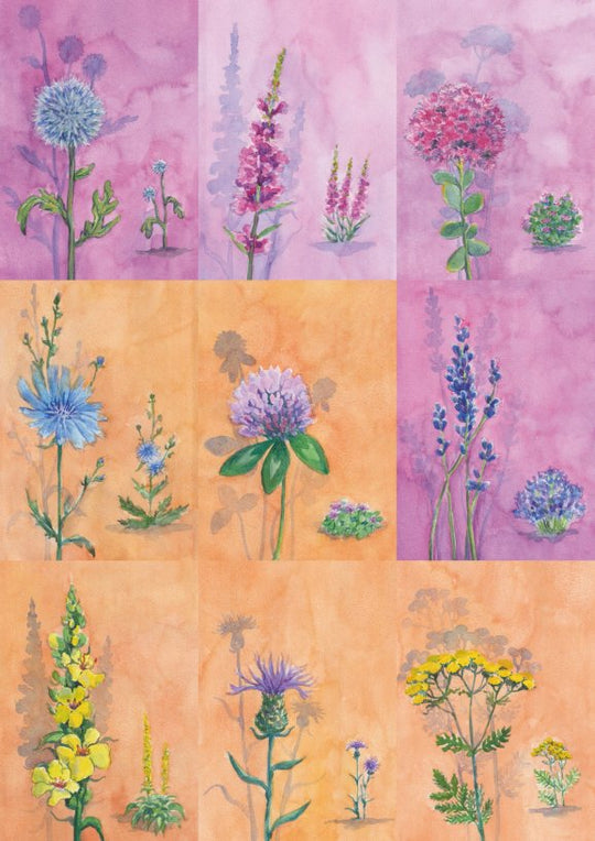 18 Bienen-Sommerblüten-Karten