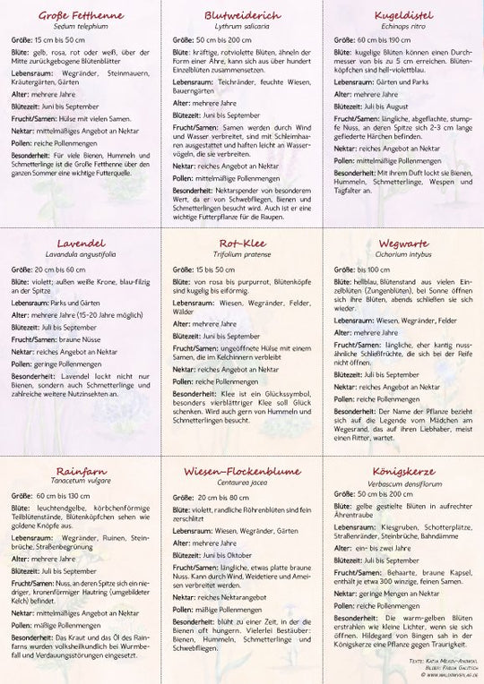 18 Bienen-Sommerblüten-Karten