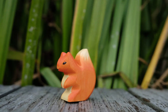 Holzwald Eichhörnchen