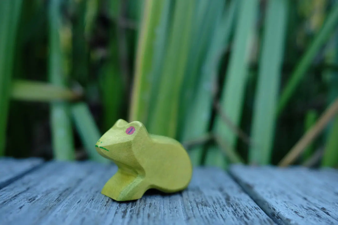 Holzwald Frosch