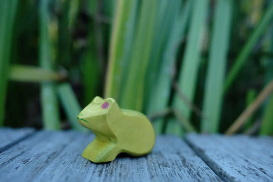 Holzwald Frosch