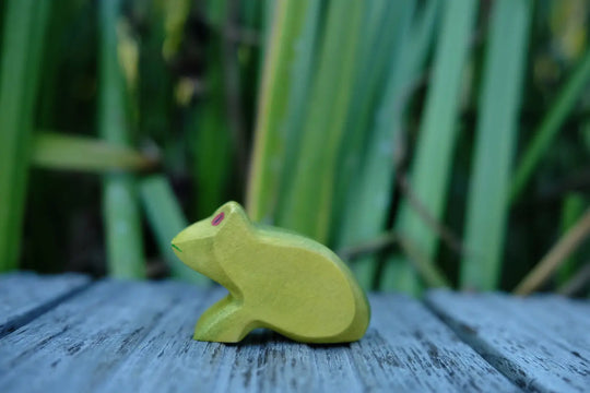 Holzwald Frosch