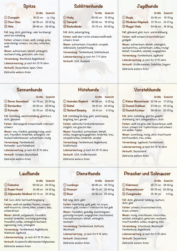 18 Hundebestimmungskarten