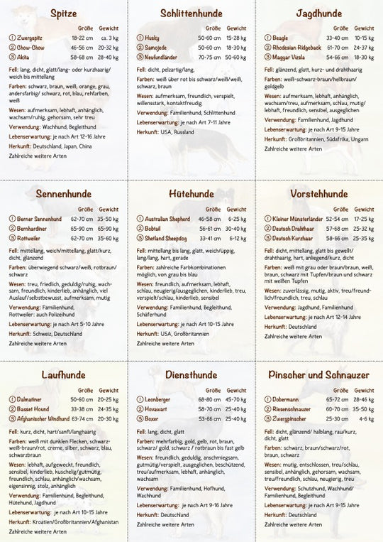 18 Hundebestimmungskarten