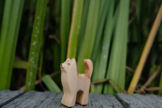 Holzwald Babykatze
