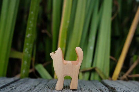 Holzwald Babykatze
