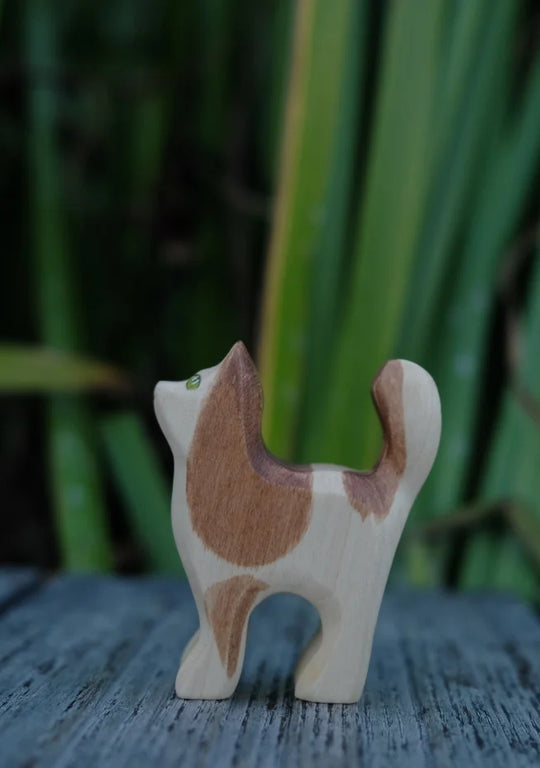 Holzwald Katze