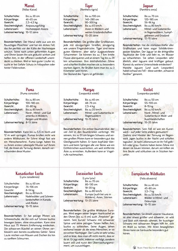 18 Wildkatzen-Bestimmungskarten