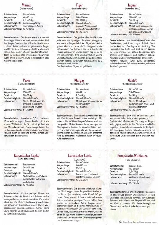 18 Wildkatzen-Bestimmungskarten