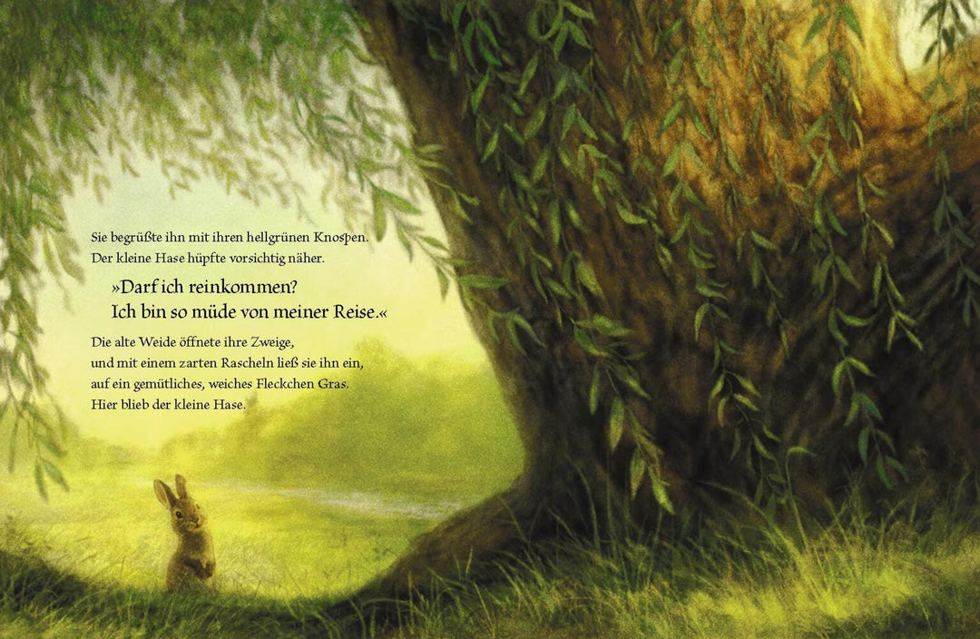 Buch 'Der kleine Hase und die alte Weide'